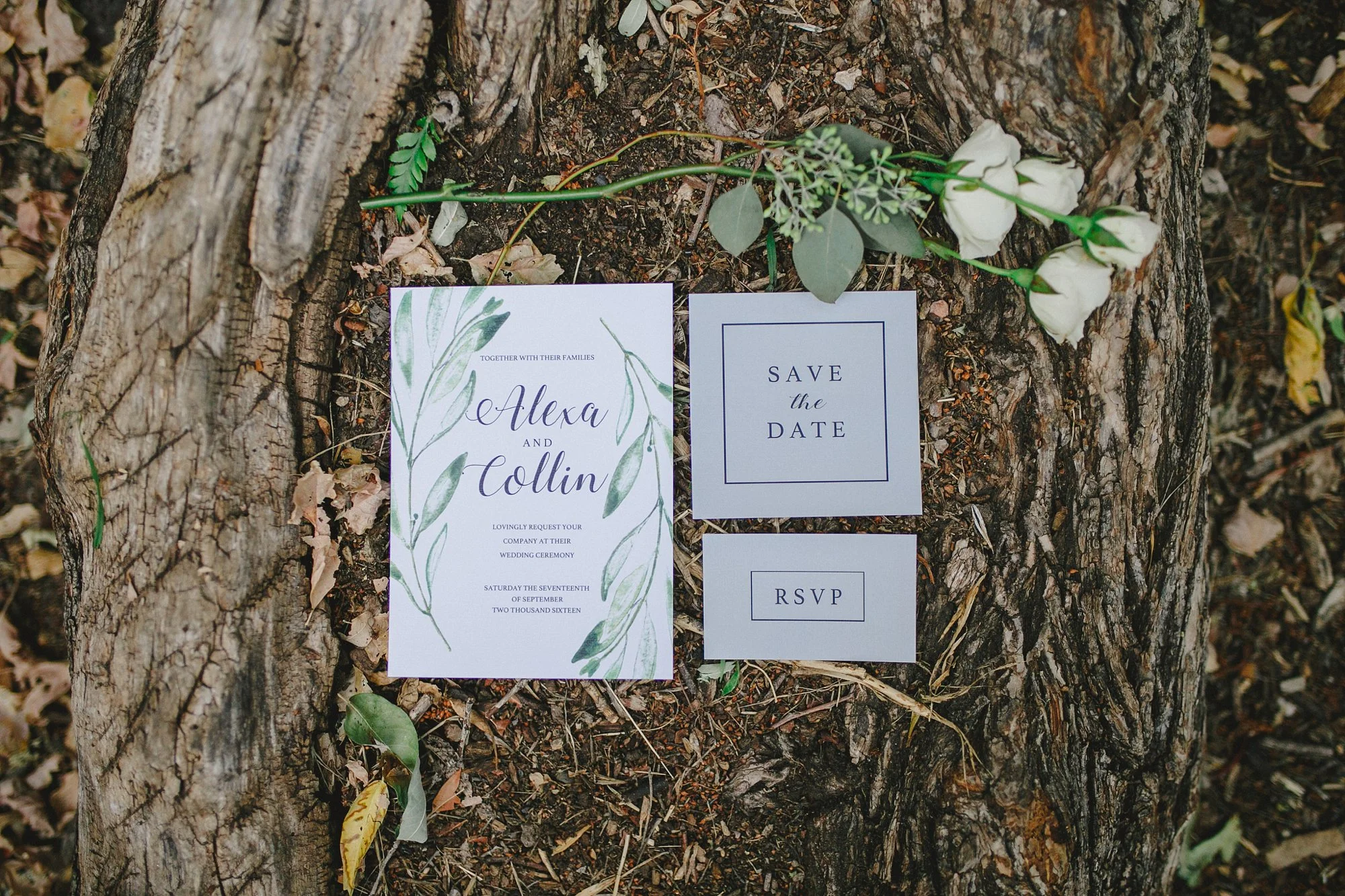 AlyssaEncePhotography_2538.jpg