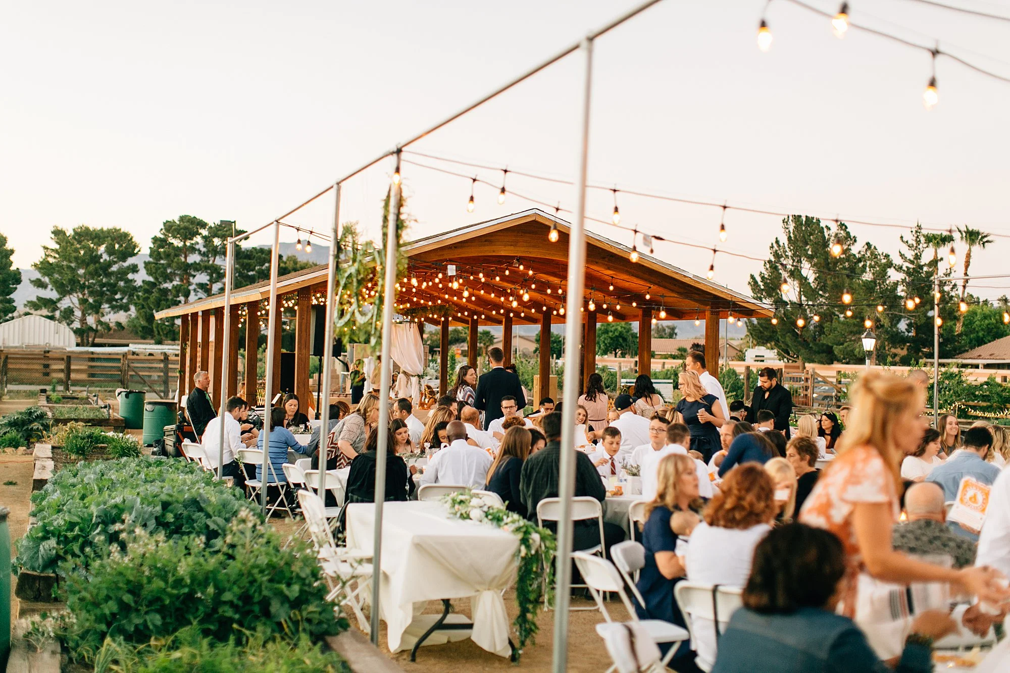 AlyssaEncePhotography_0139.jpg