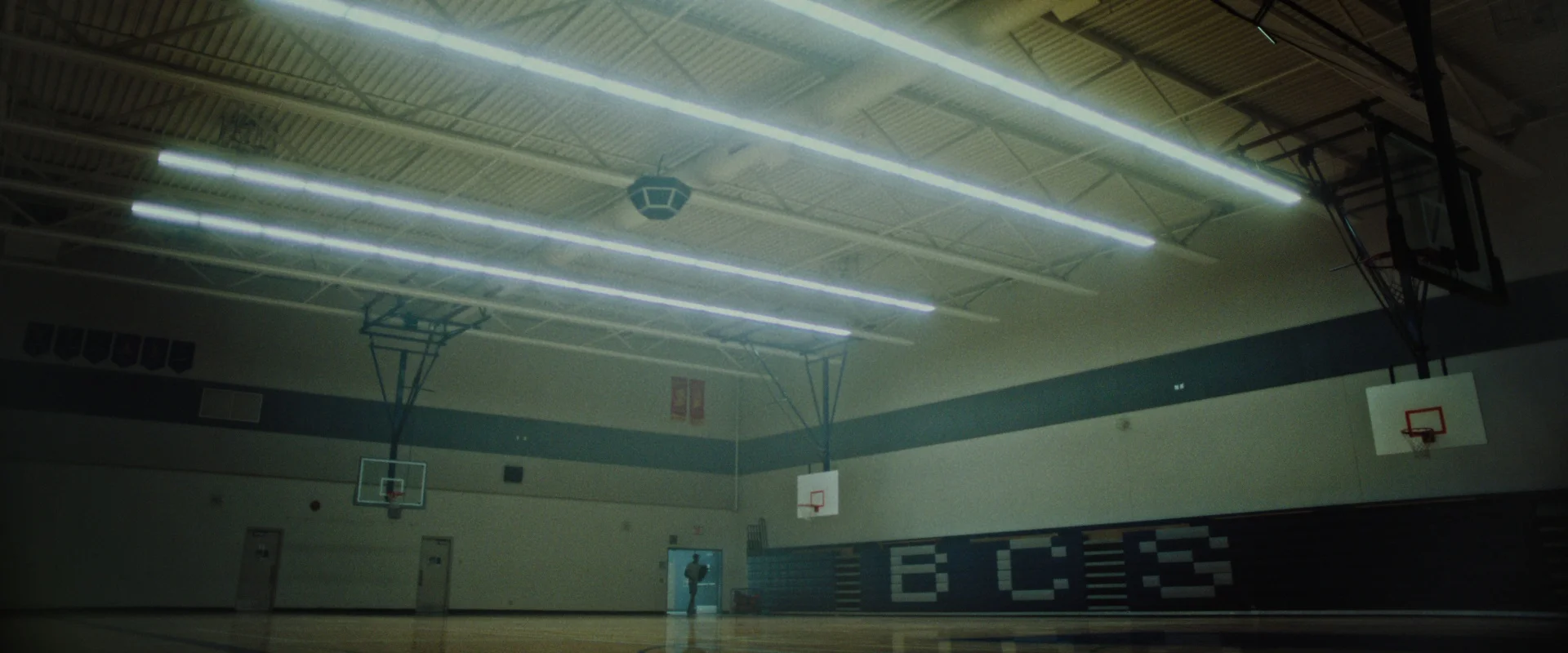 FITBIT_DC.mov-MoviePrint-1-frame000759.jpg