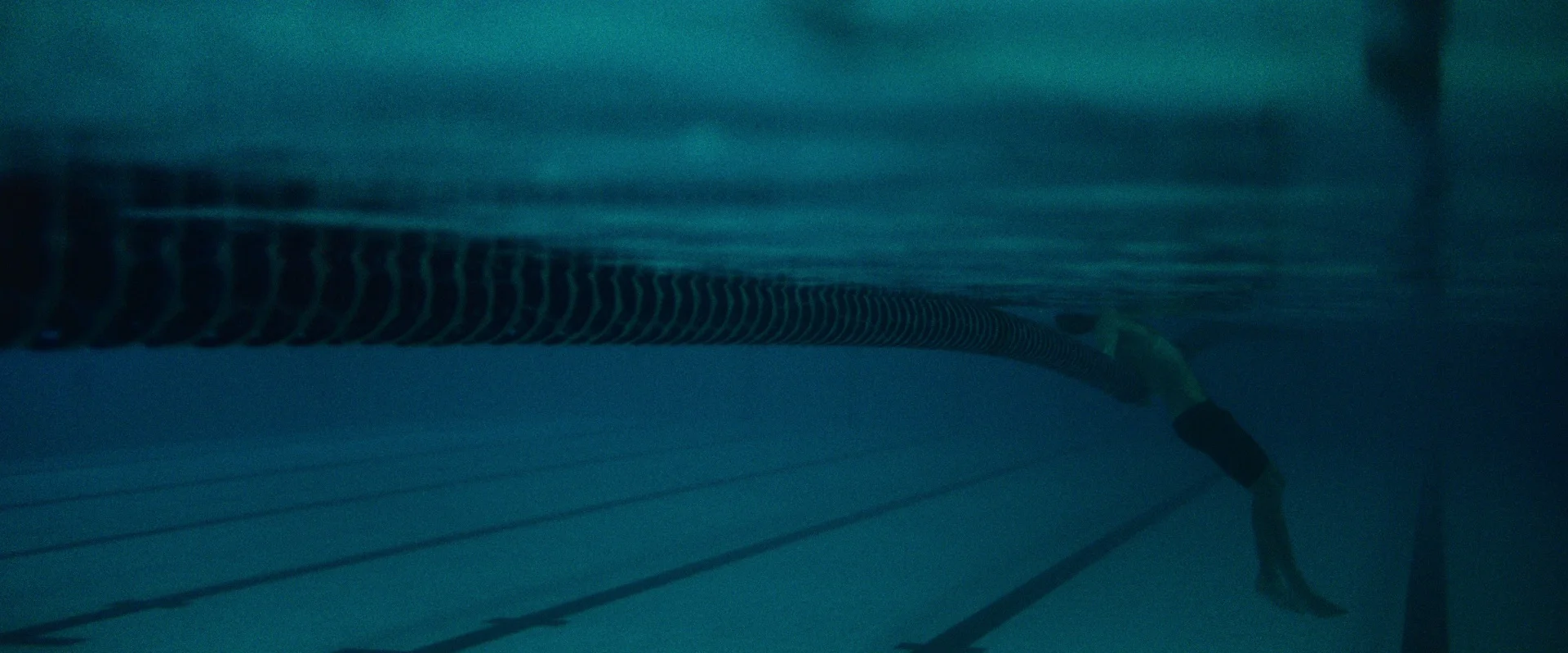 FITBIT_DC.mov-MoviePrint-1-frame000152.jpg
