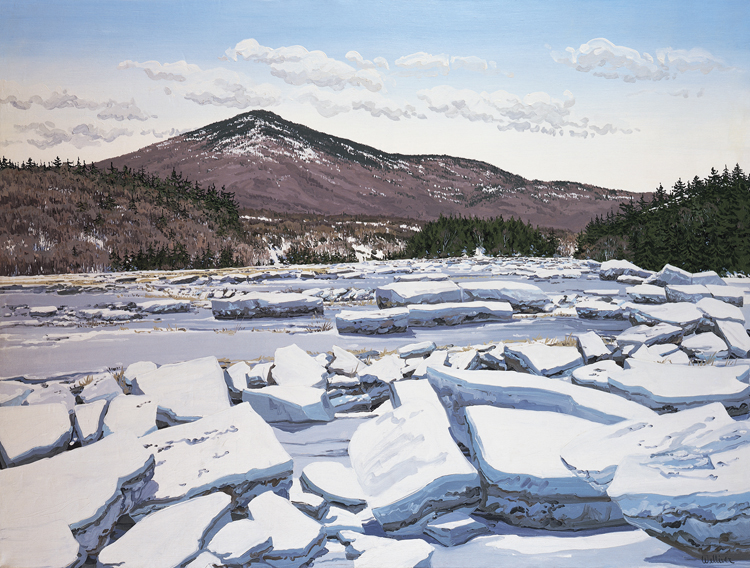 Writing Prompt for Scientific Observation Unit #4: Neil Welliever, Prospect Ice Flow, 1976, 97.3.51