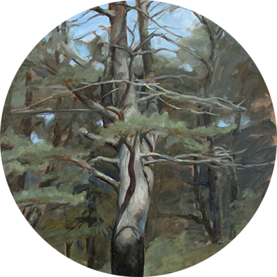"Tree" by Tanya Harsch