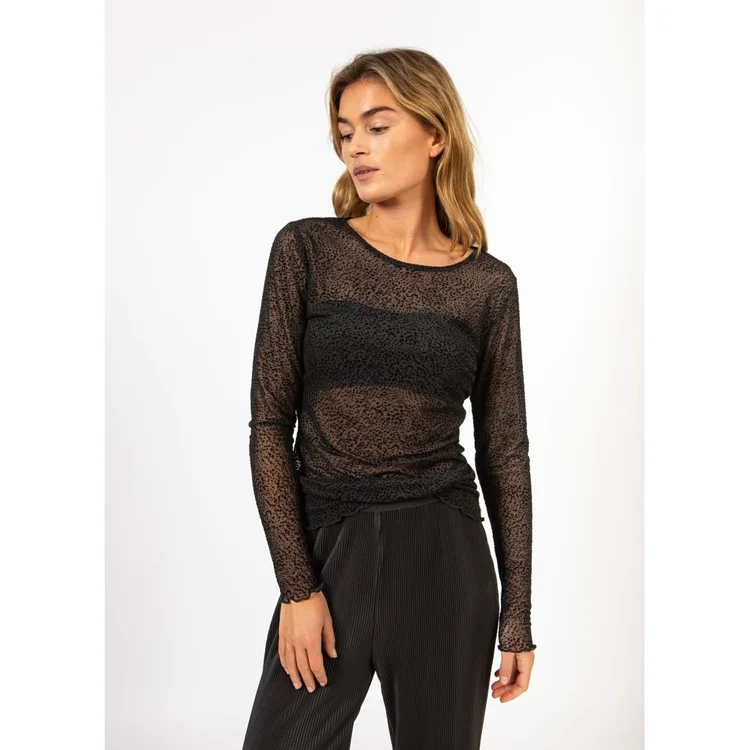 New 3 — Fig Tree Toronto