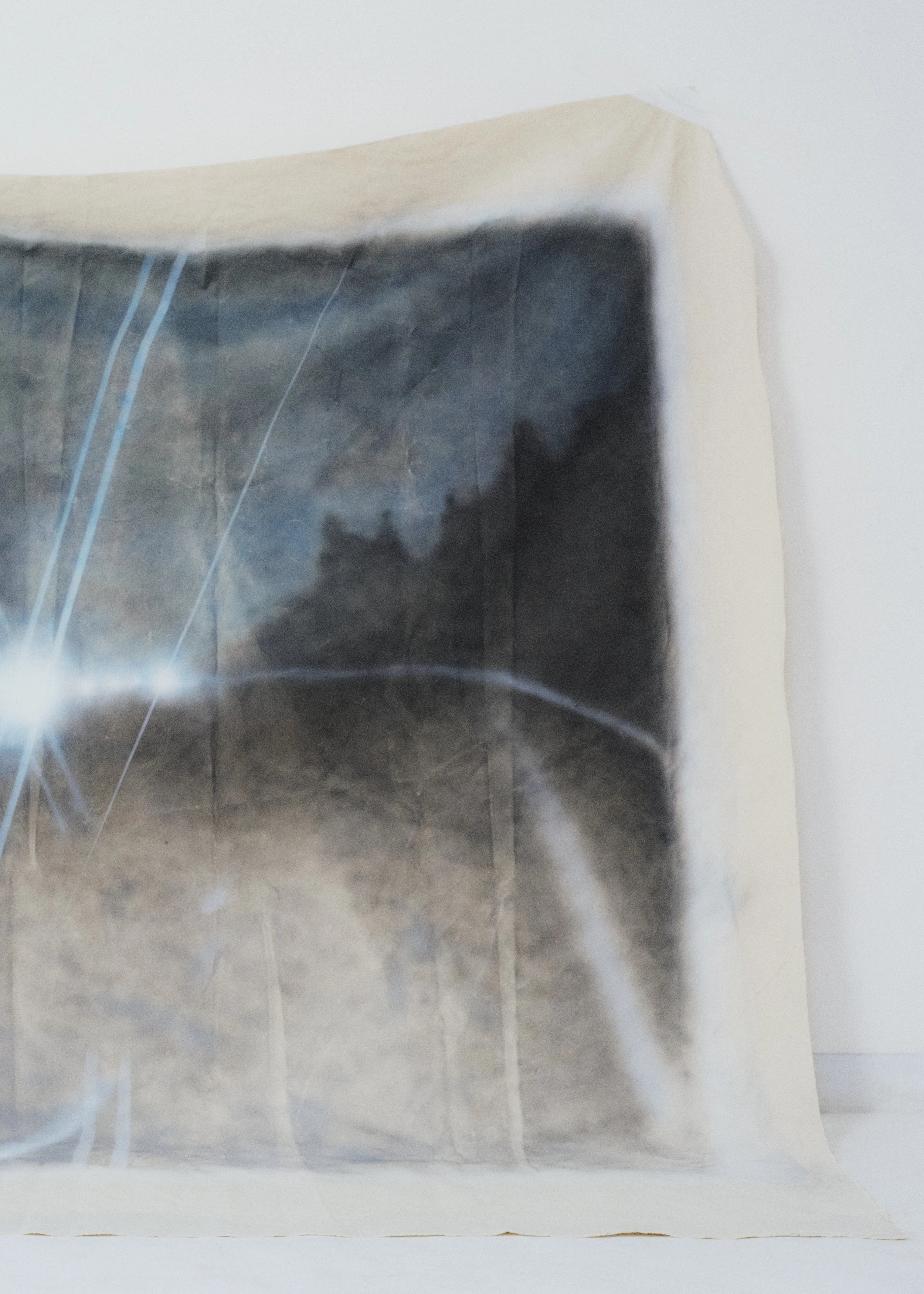 Traceform_glimmer6291 copy 2.jpg