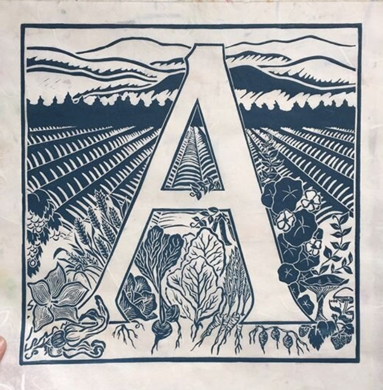 Anchorage Logo