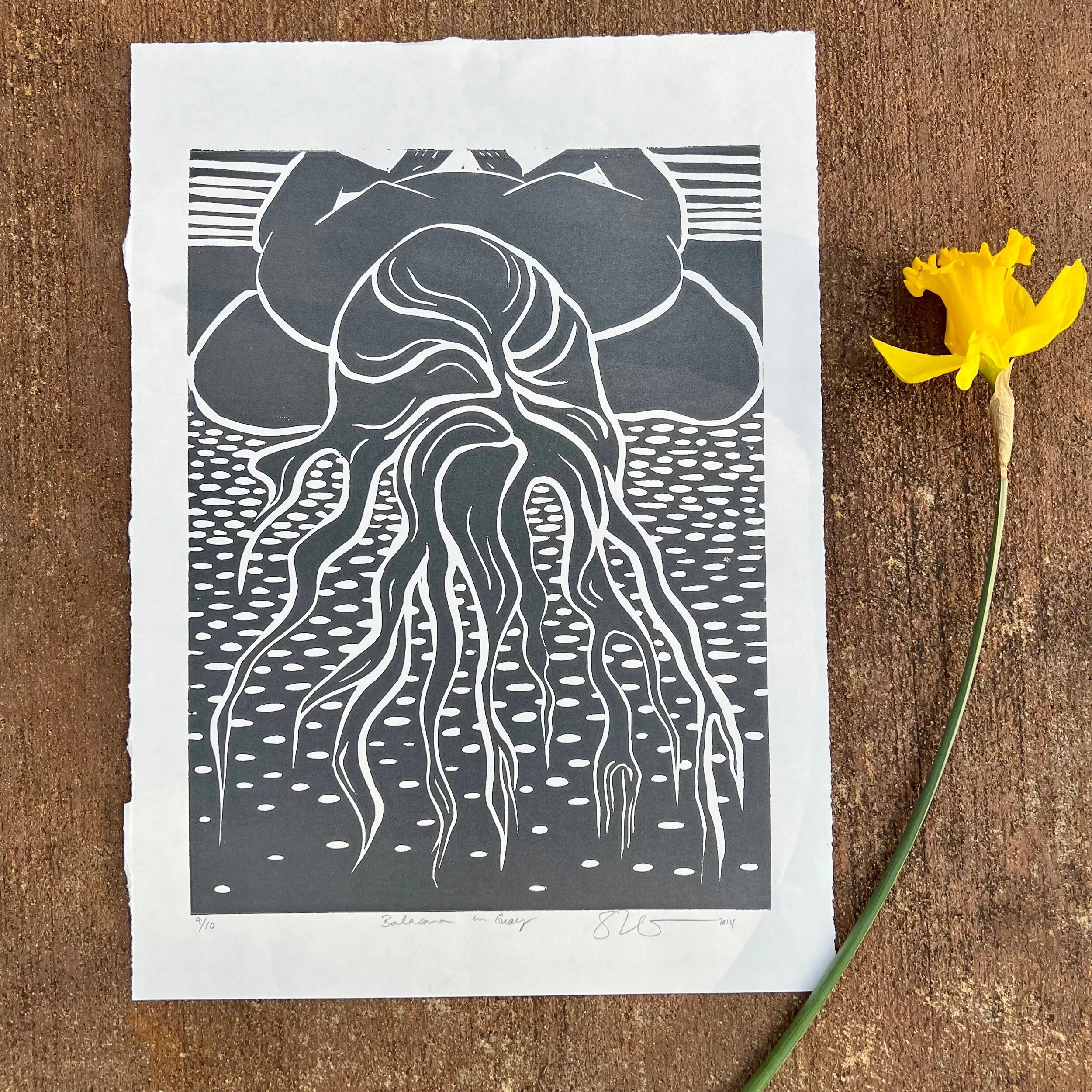 05A1C5F4-D871-4231-B435-BD30258A6EFA