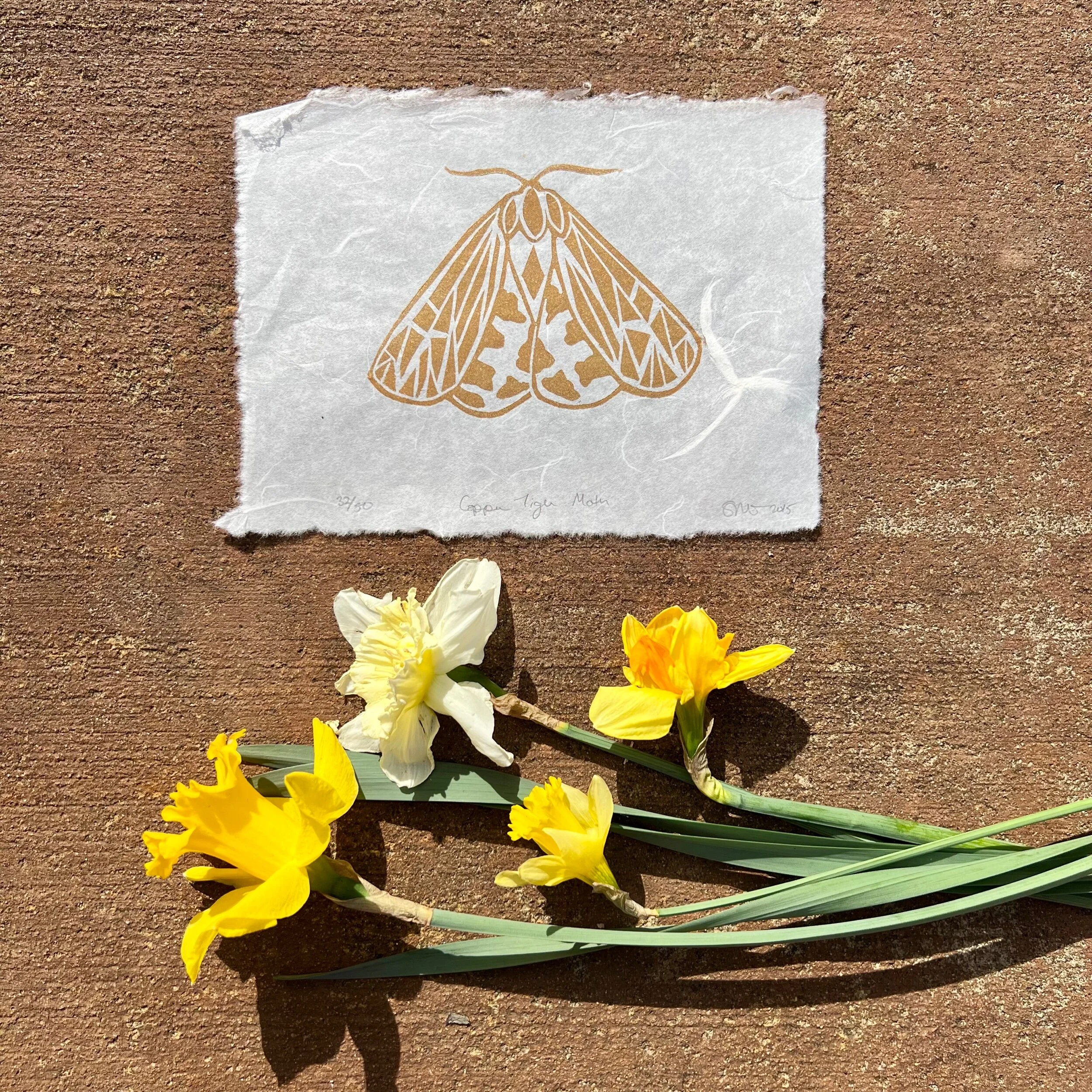 4213A6F7-1DFC-495A-8610-5AA4EF51341E