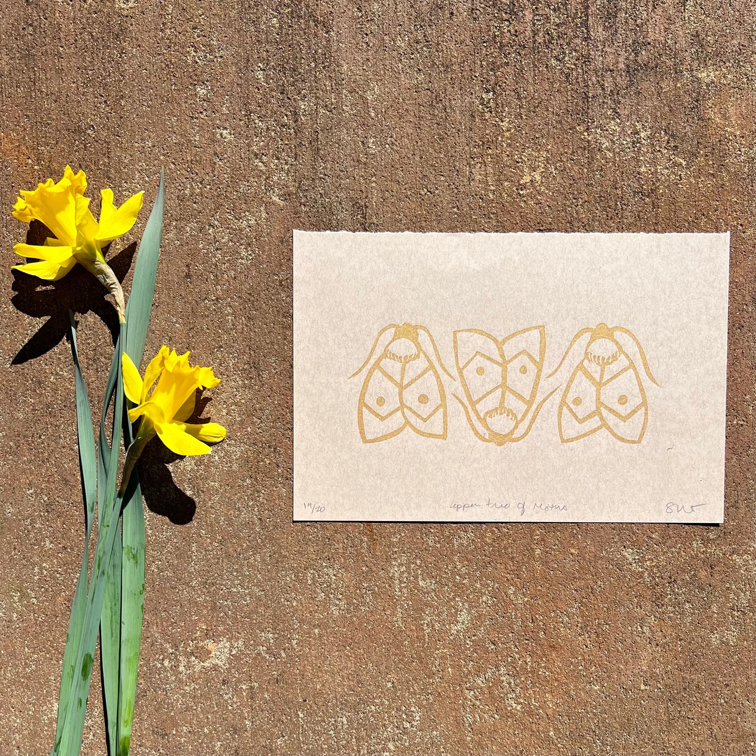 994D1731-9B53-4E88-A625-A4F81AEBC130