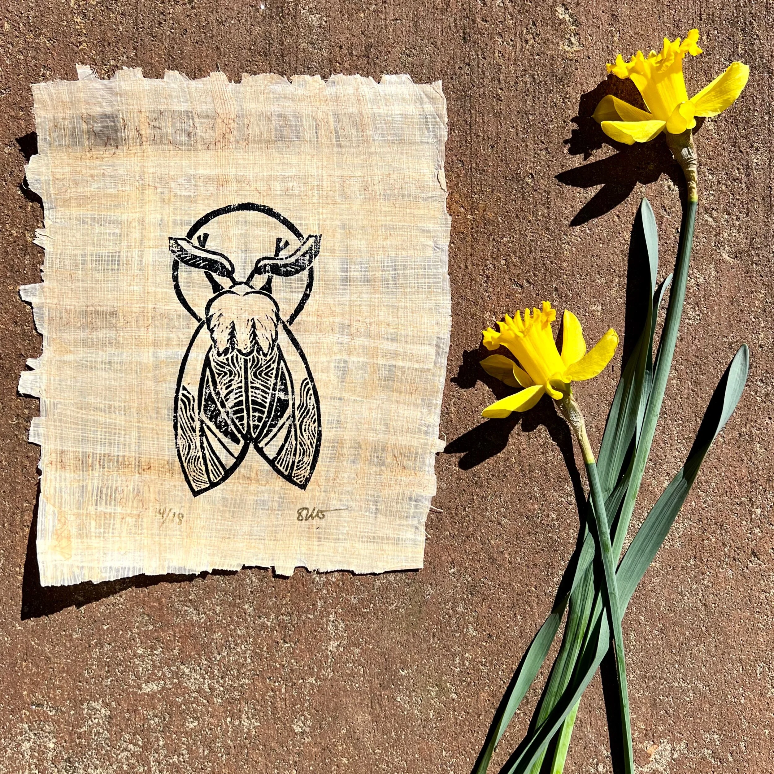 010BAFF6-1287-49E8-A346-691877A6600D