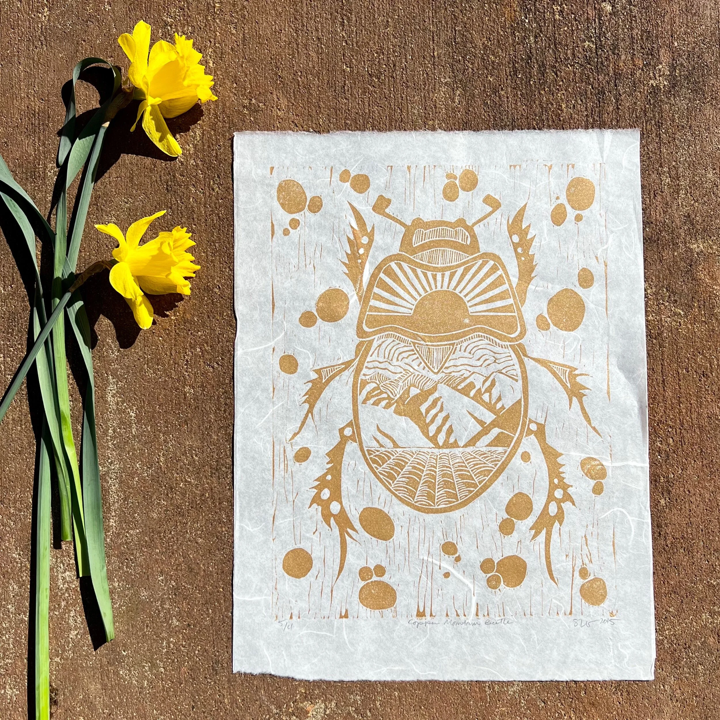 850C8713-E214-4EF8-B927-CA0F421E7B2B