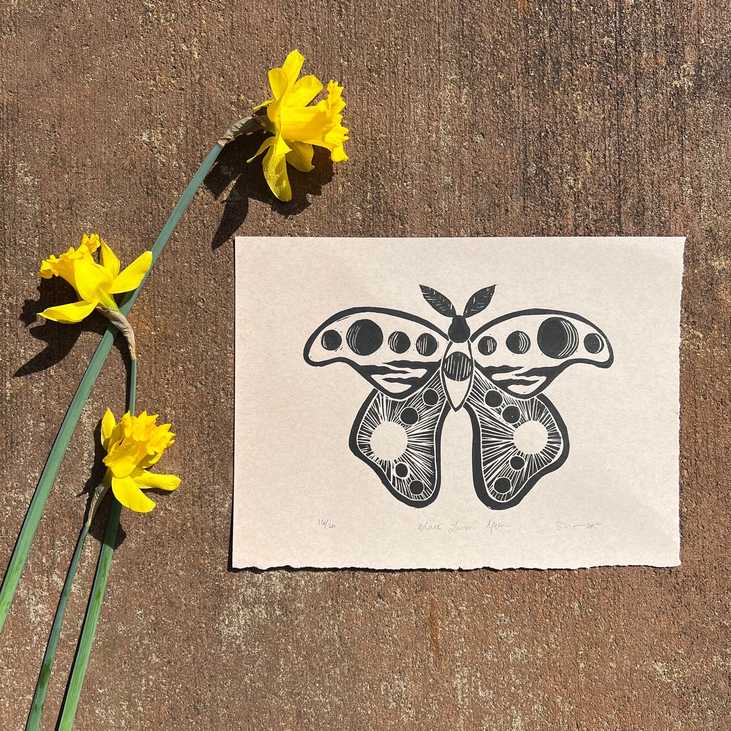 ED386216-3F17-4E07-8CF0-22EA9DA3C542