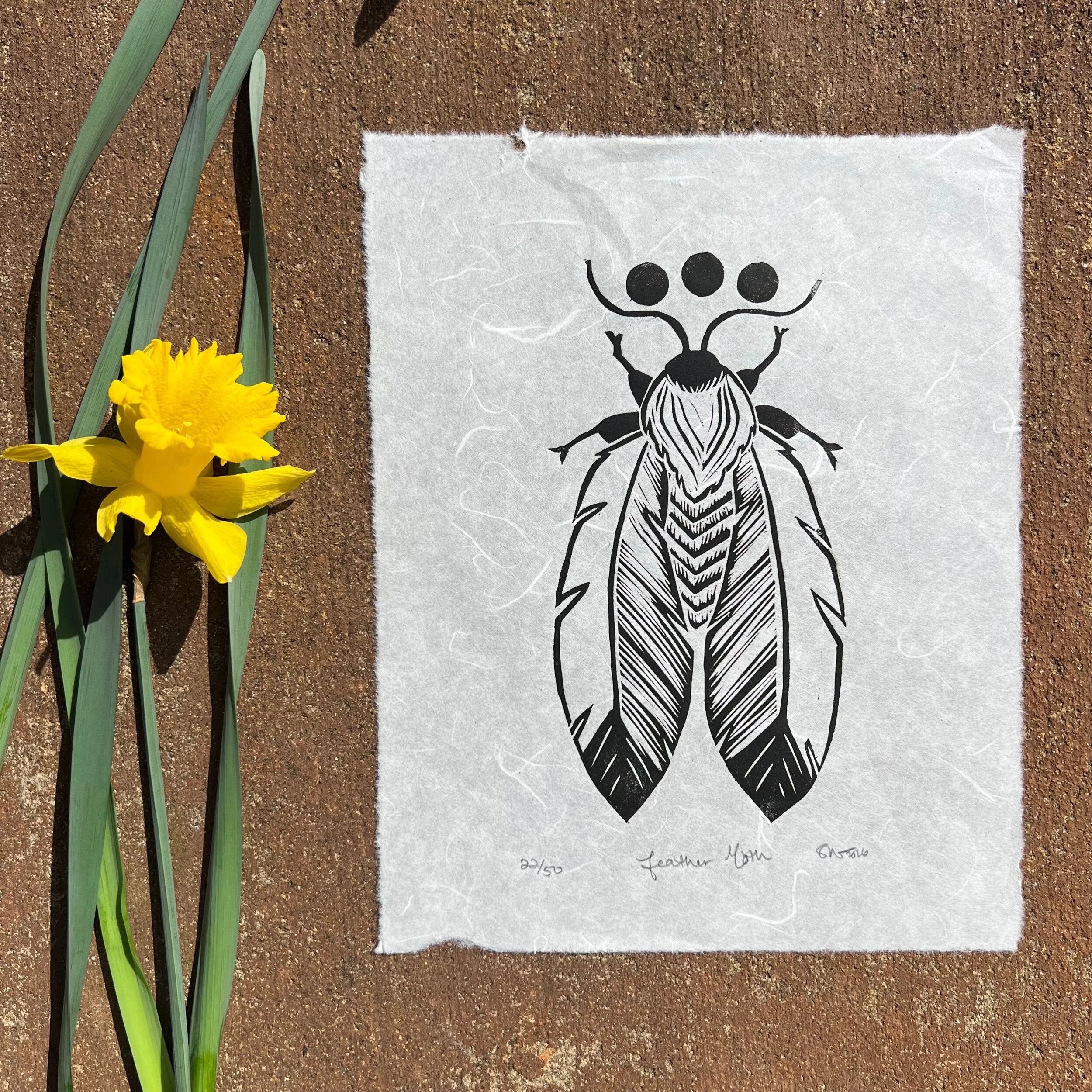 21A4FDC6-6F06-4E5B-BDD8-90BD0480A6B5