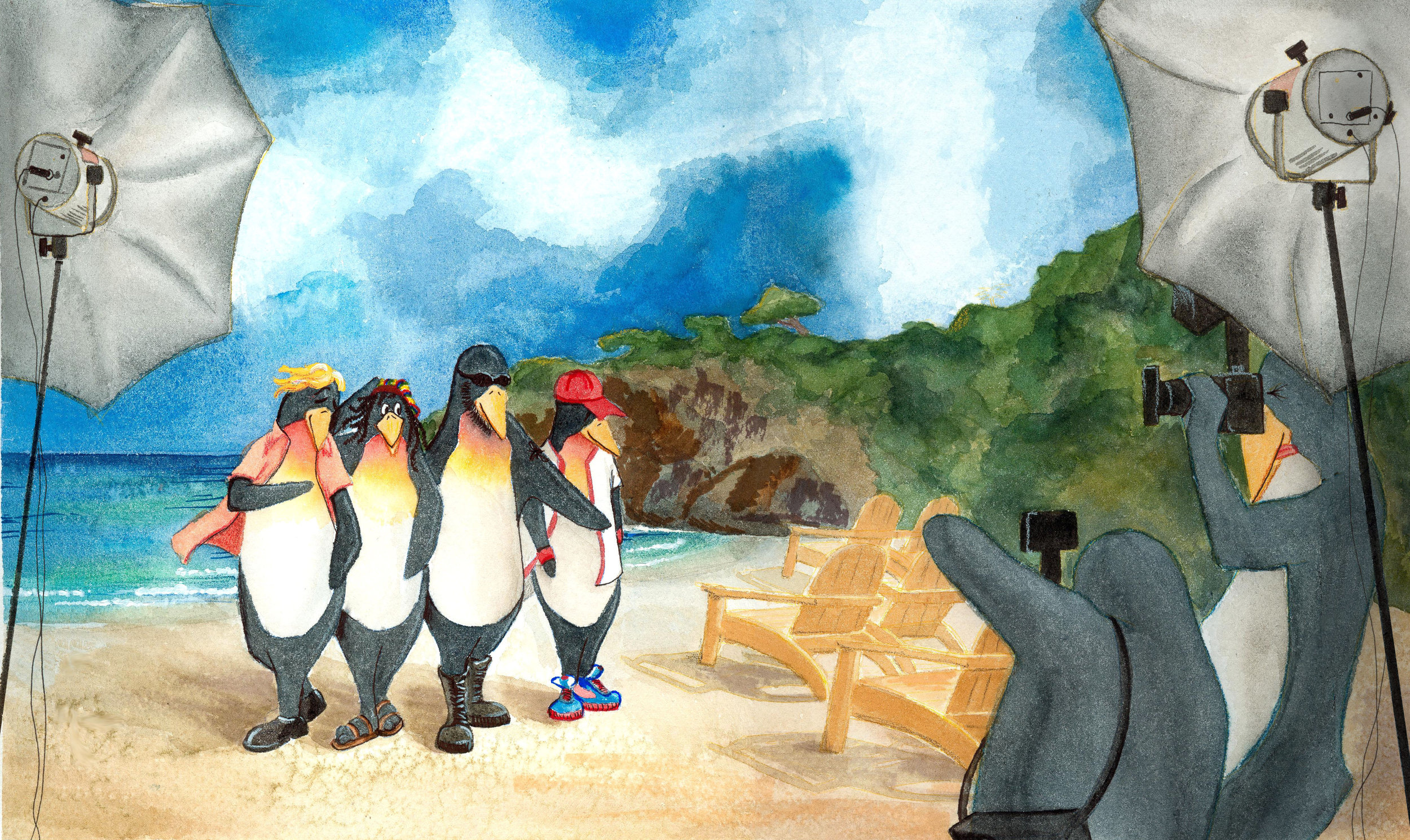 Penguin Photoshoot