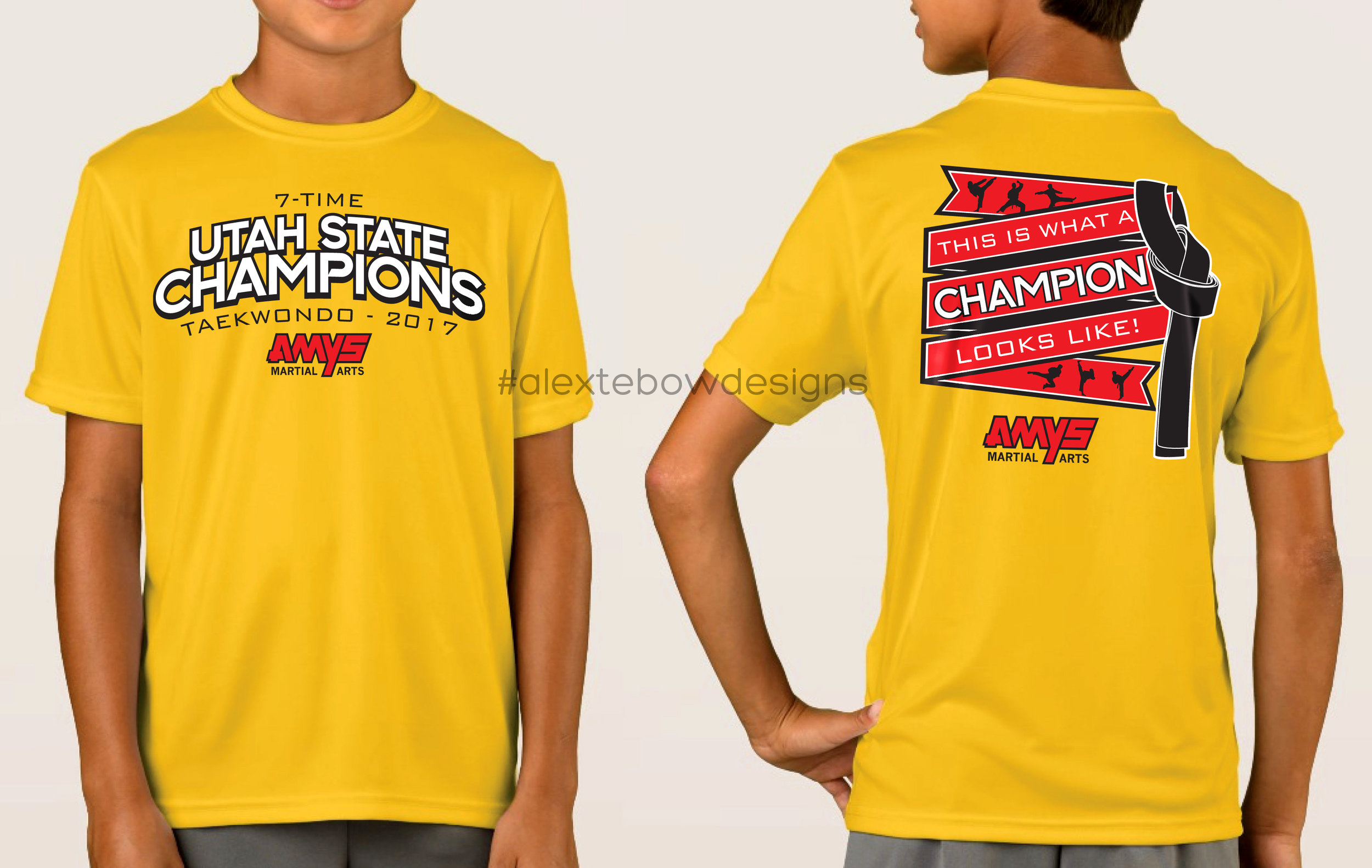 AMYS Martial Arts State Champs Tee 2017
