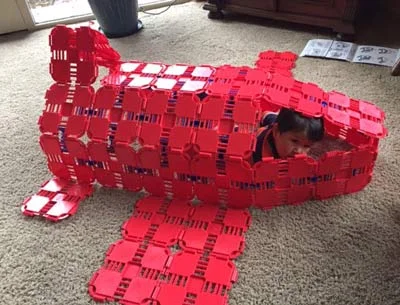 Airplane Fort