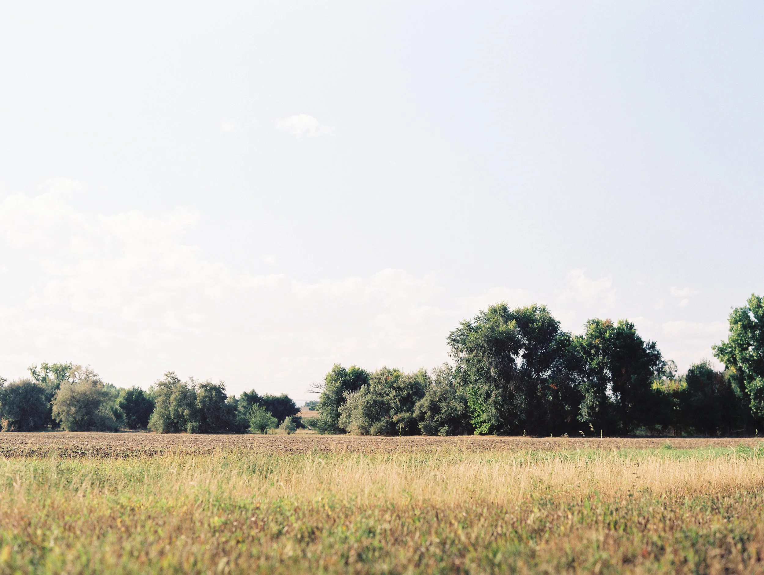 Birecki Osborn Wedding DeFiore Photography-4.jpg