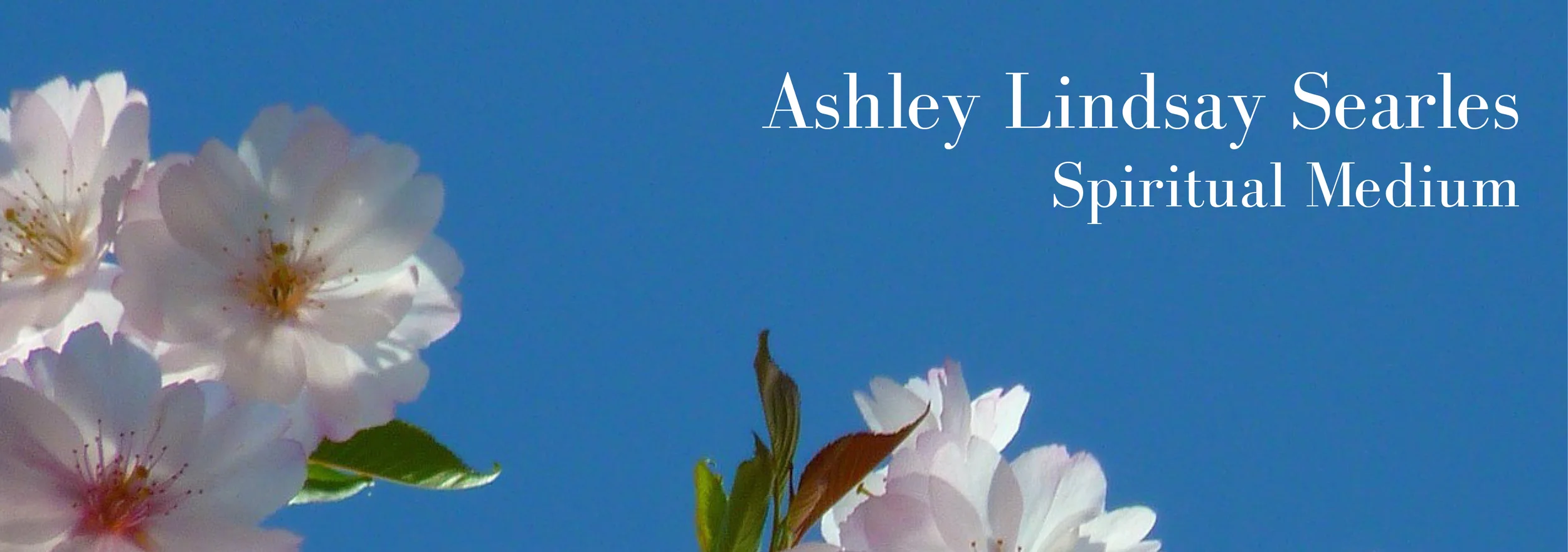ALSSM - Marquee image & text.jpg