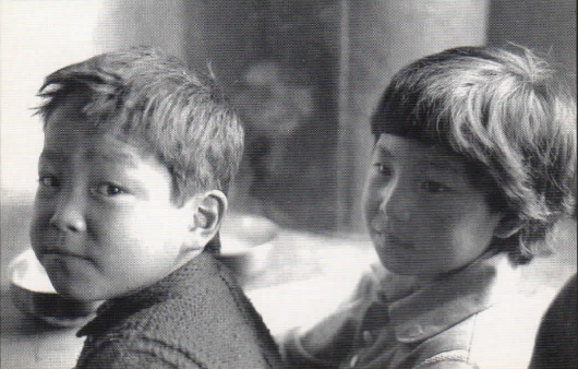 TIBETINEXILE.png