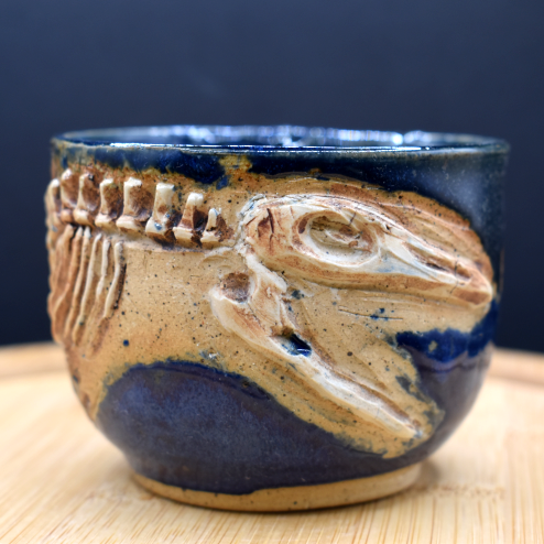 mosasaur front 2.png