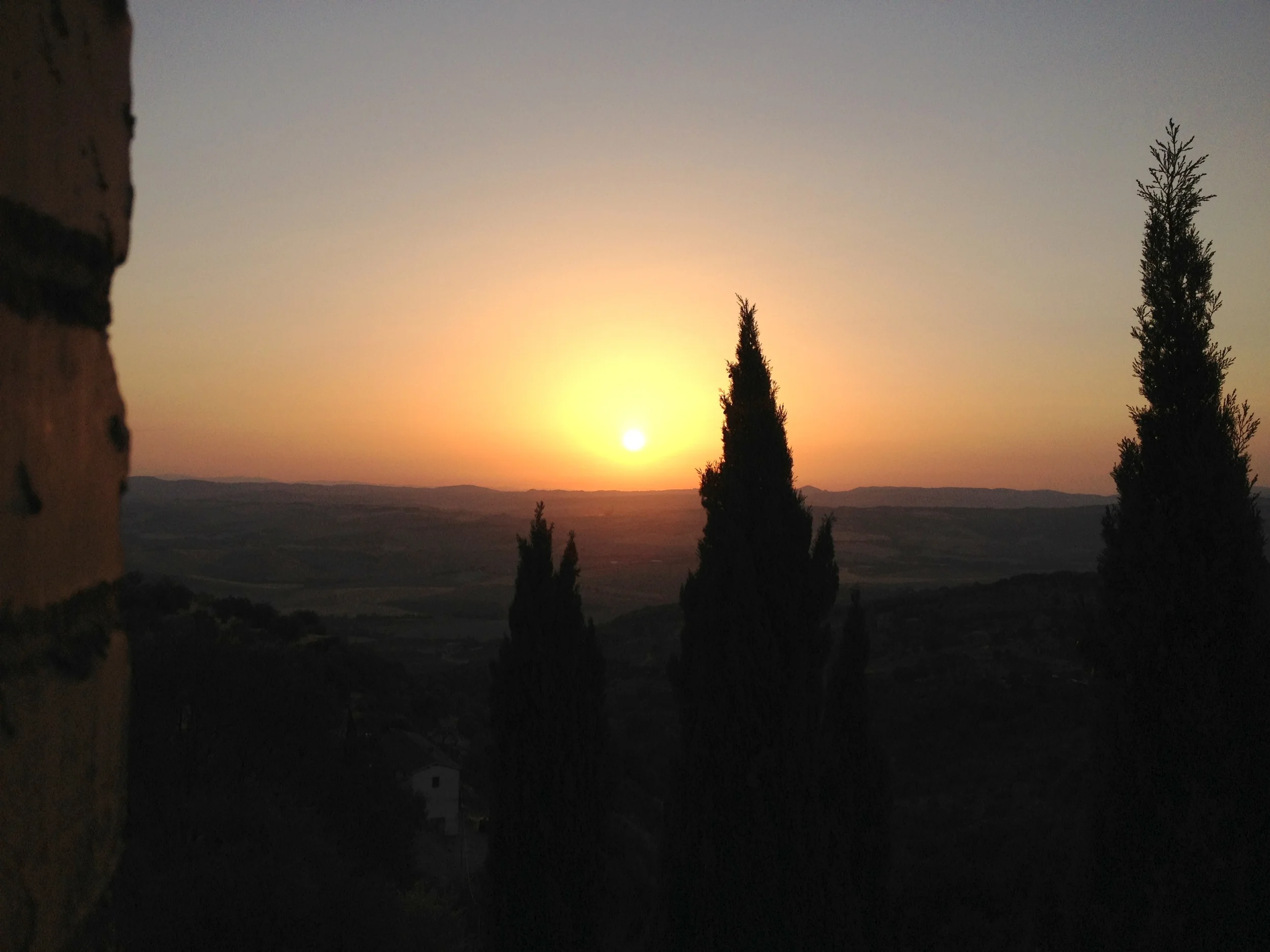 IMG_1965.JPG (2).JPG