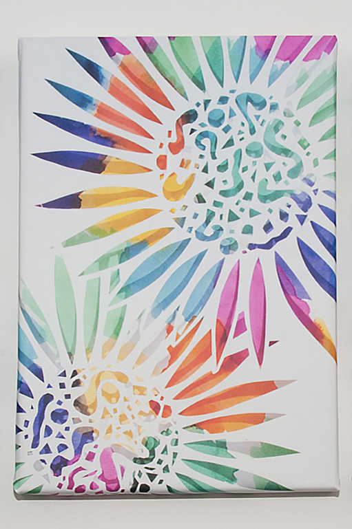 Colour Explosion Canvas.jpg