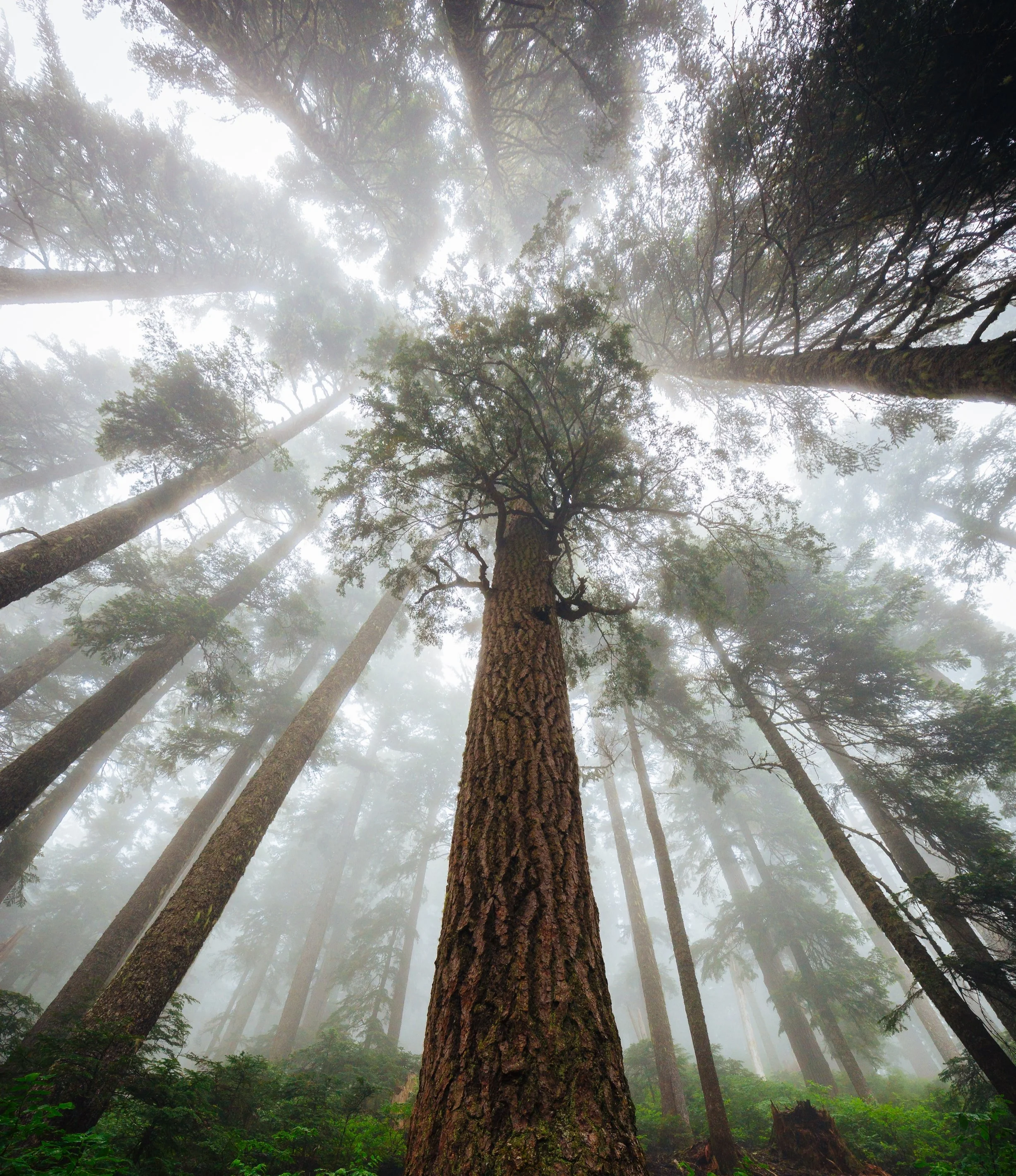 Photo by John Westrock on Unsplash