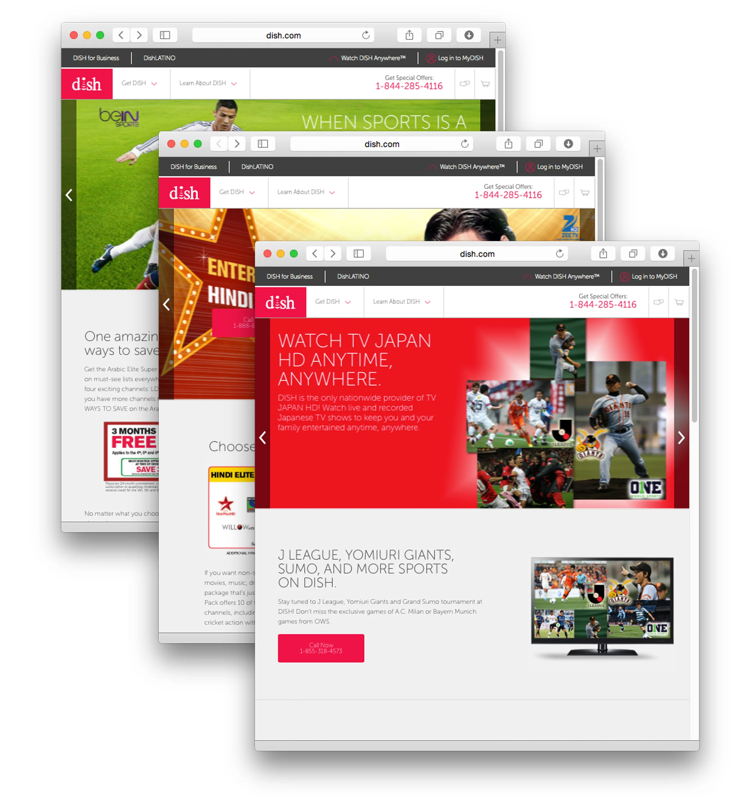 Dish website cropped.jpg
