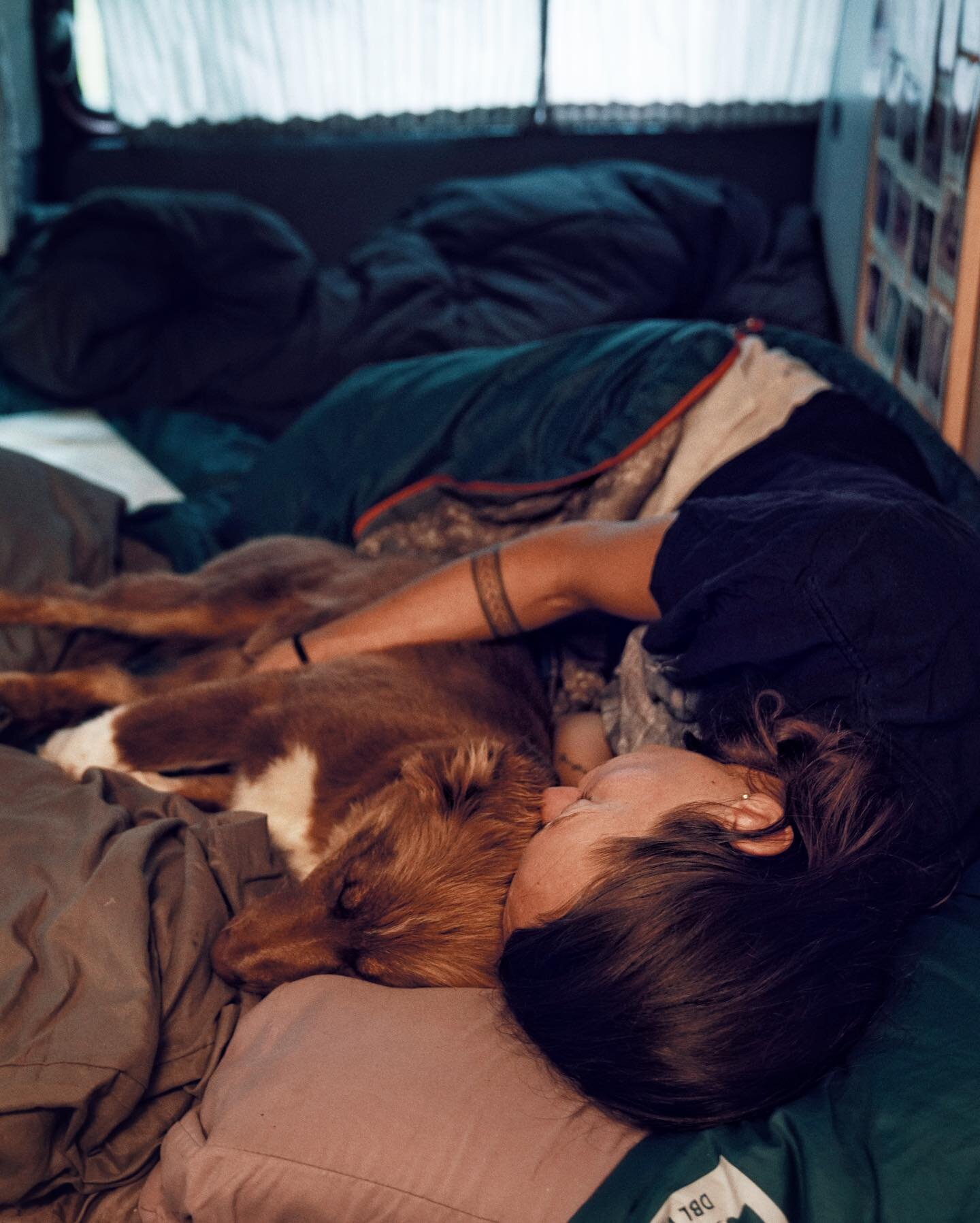 I wasn&rsquo;t always a &ldquo;dog person&rdquo;. I hated being covered in hair, I was repulsed by the idea of a dog licking my face, and just the thought of sharing a bed with an animal was beyond my realm of comfort. But then there was Winnie. And 