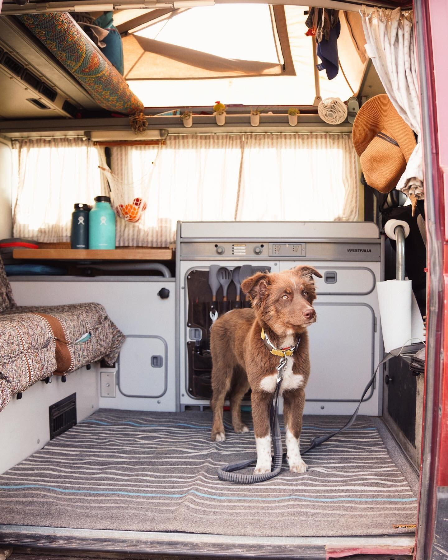 One of my favorite things about living in a tiny space is finding the tricks and pieces of gear that make our space feel more like home. I especially love adding pieces that help keep us organized; a crucial part of tiny living. I recently partnered 