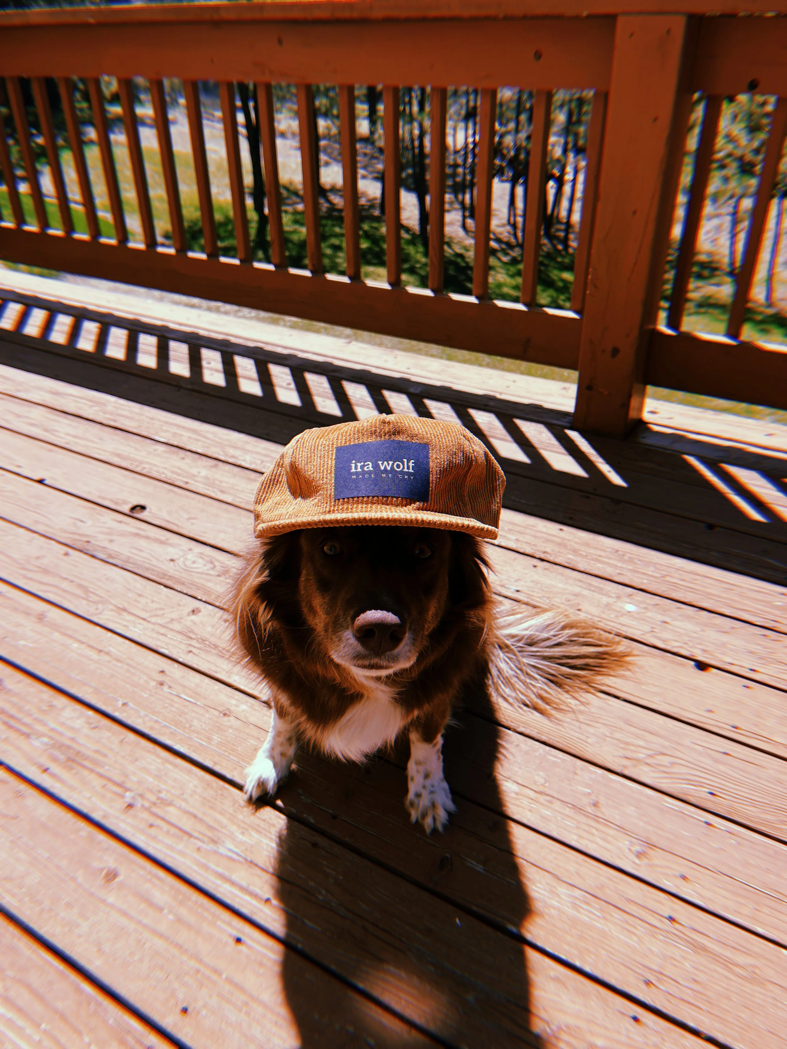 2024-04-23 12:40:41.670.JPG