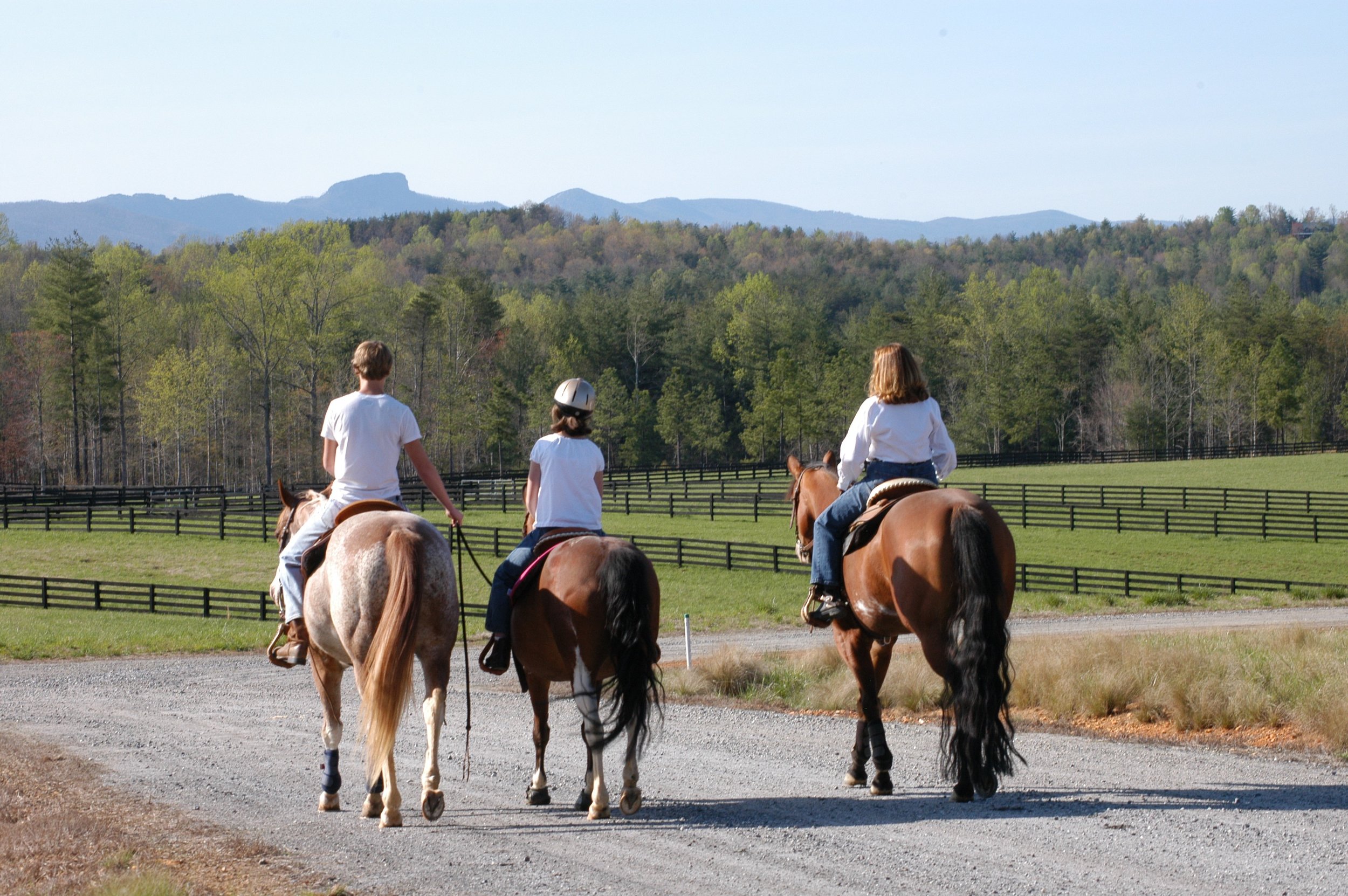 Board your horse at CRC Stables and have access to miles of horseback riding trails with mountain views.