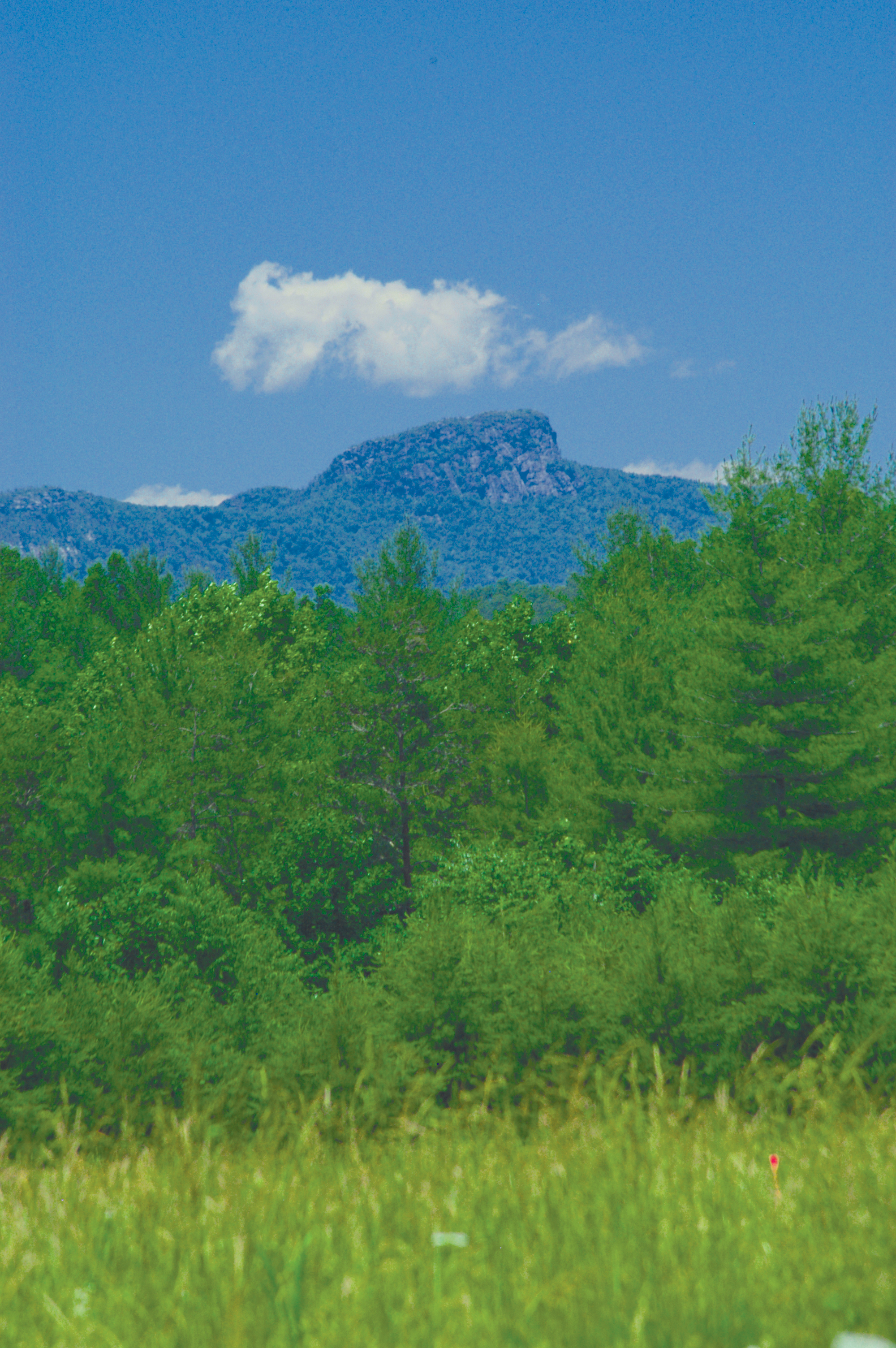  View of Table Rock from Catawba River Club. 