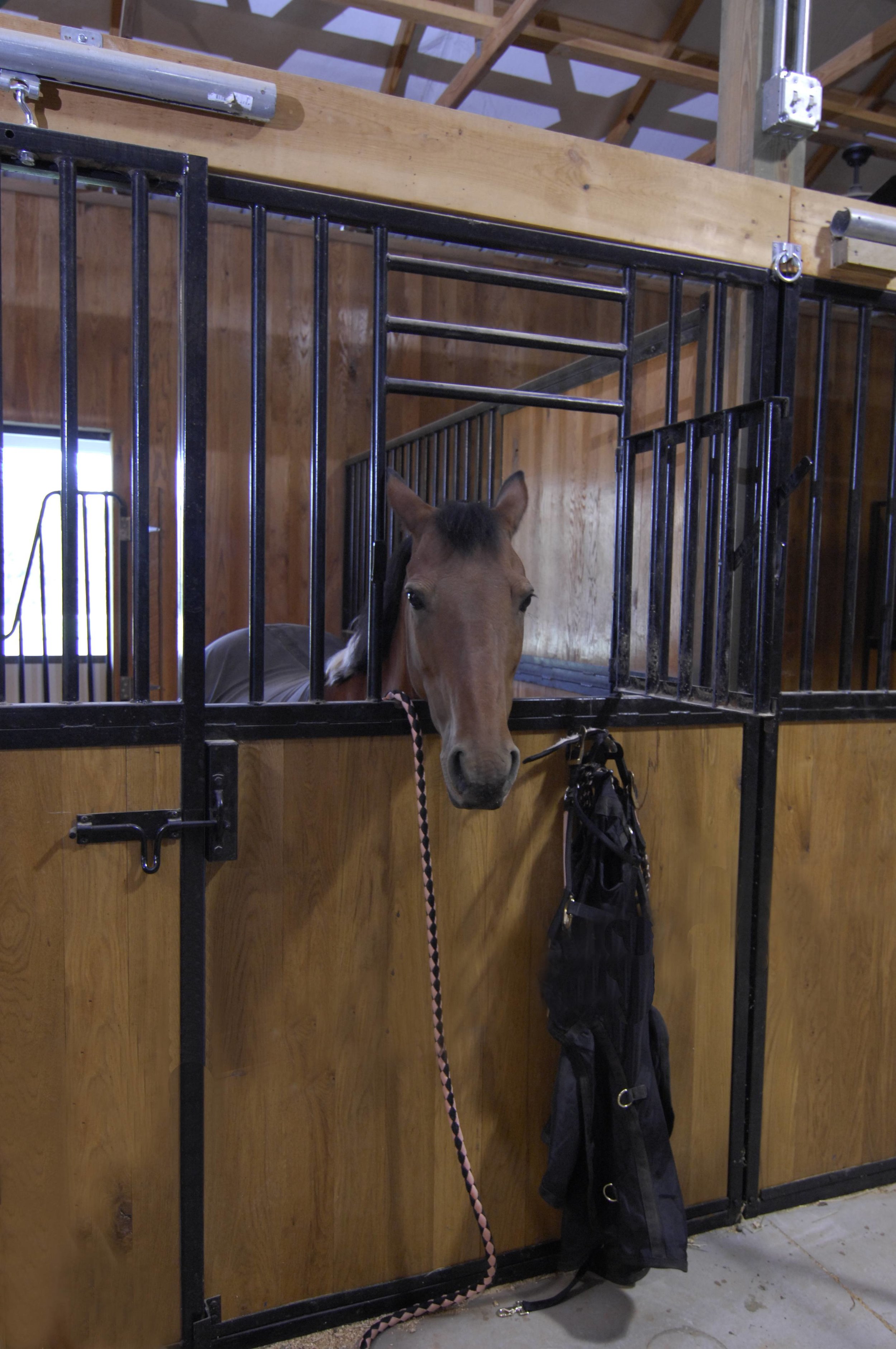 Horse boarding at CRC Stables.