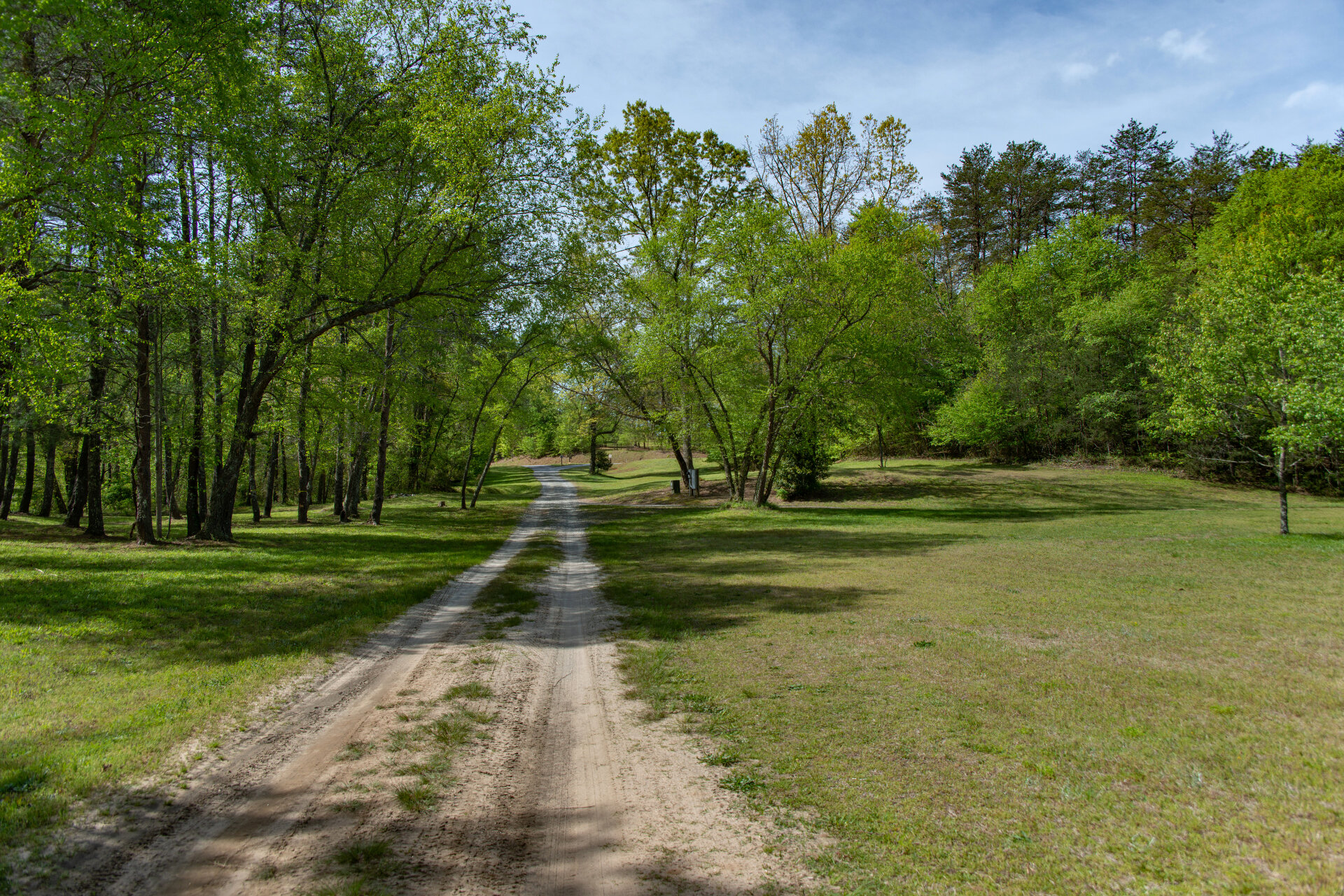  Enjoy long walks through the woods 