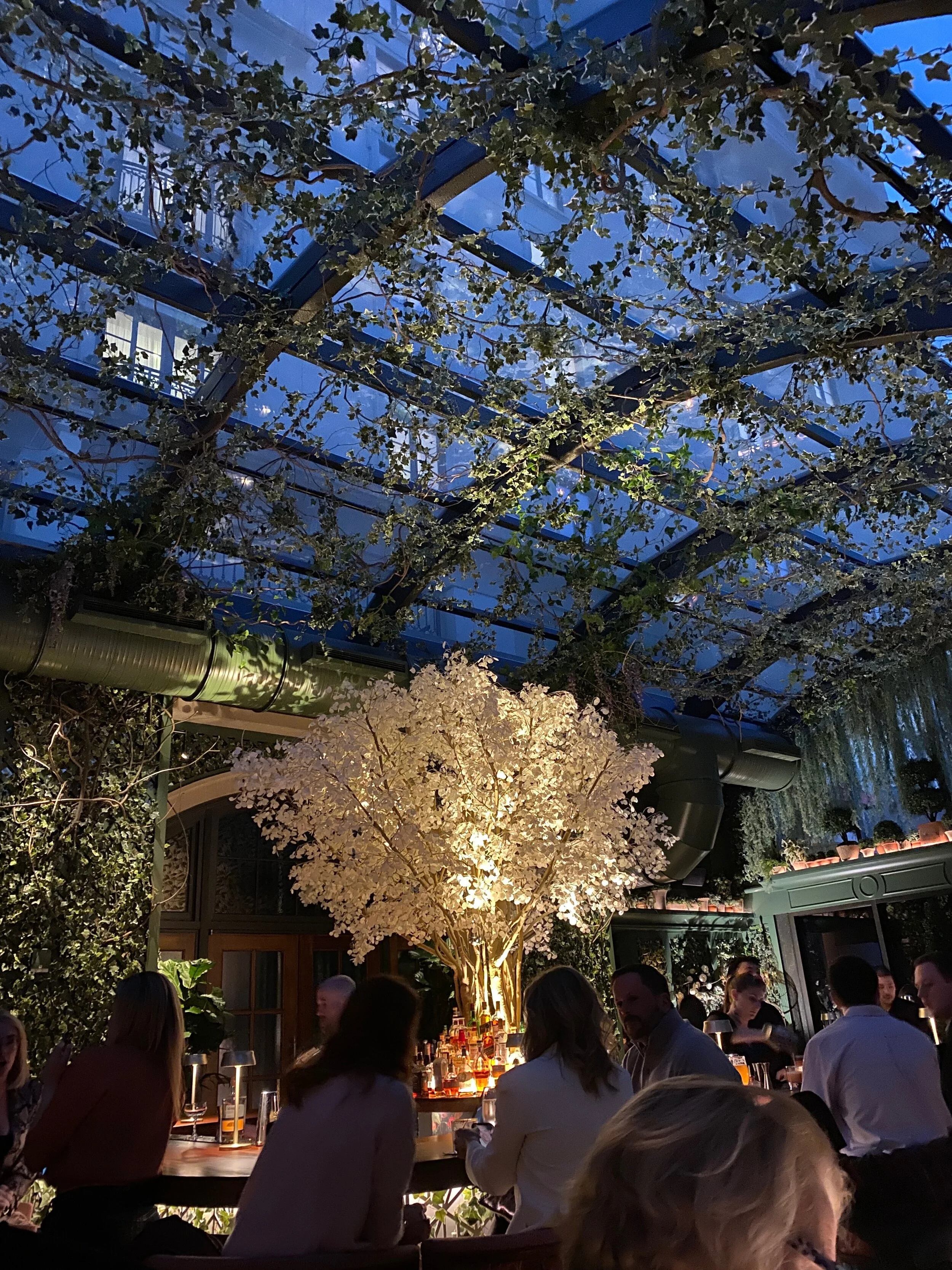 Adventures in Atlanta