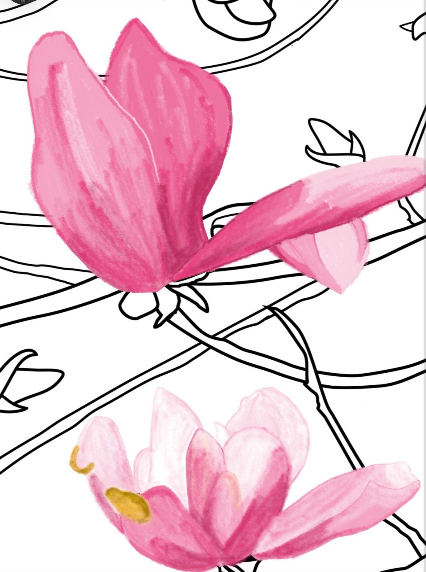 Coloring Book Page example - CoCo Zentner Art 