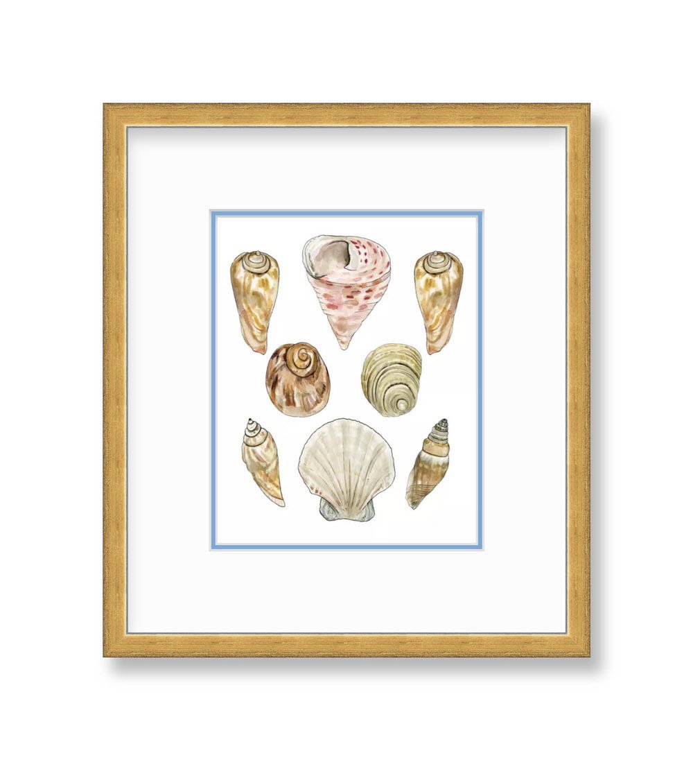 Down+by+the+Bay+Print+in+Frame+Seashells.jpg