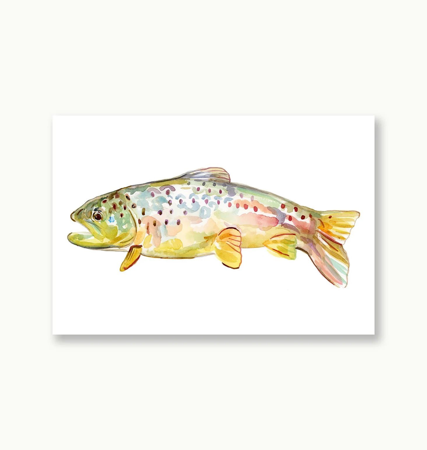 Rainbow Ember Website.jpg