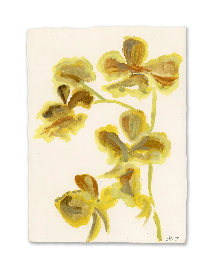 Flowers from the Garden