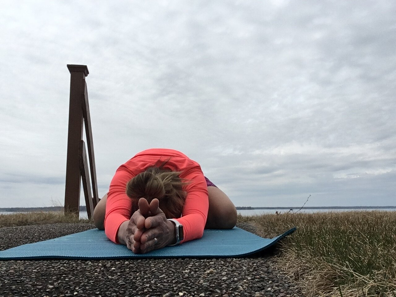 Upcoming Virtual Classes