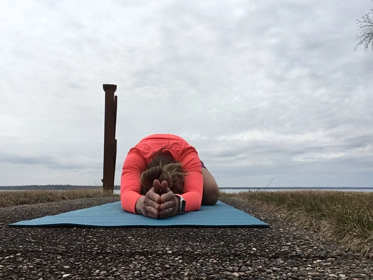 Upcoming Opportunities