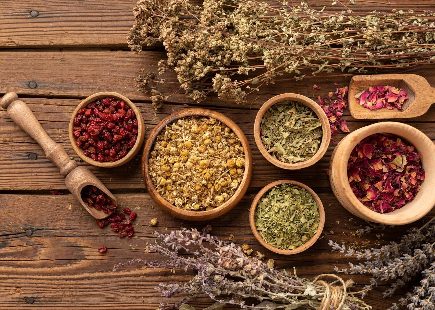 ayurveda.JPG