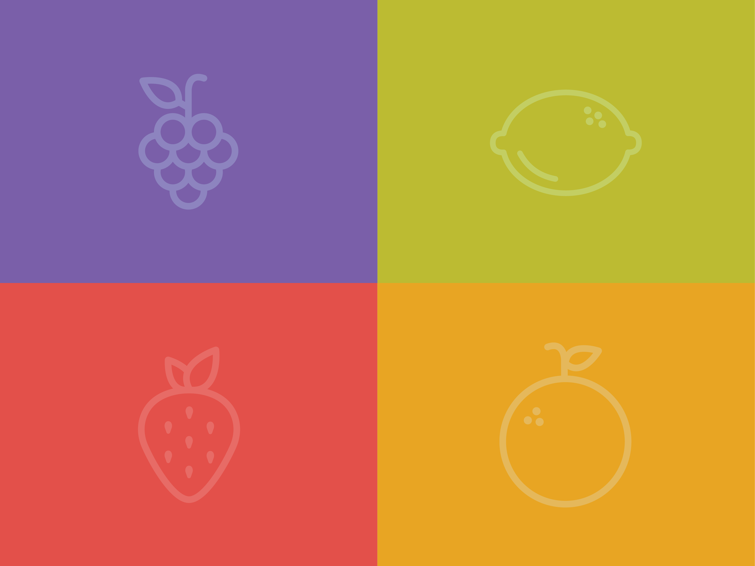 fruitz-big-01.png