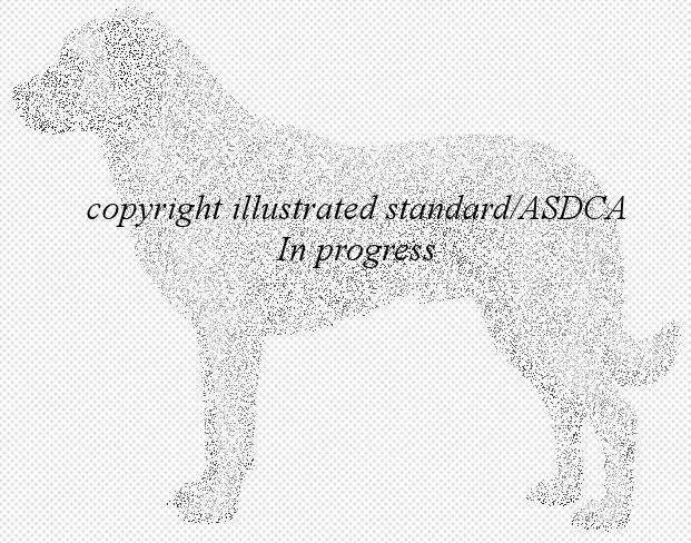Anatolian Shepherd Dog Club of America Illustrated Breed Standard