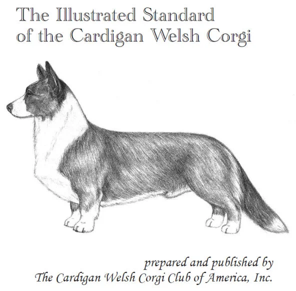 Cardigan Welsh Corgi Club of America Illustrated Standard