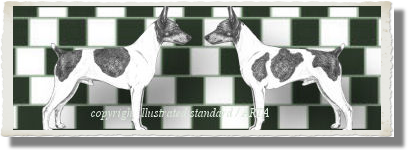 illustrated-standard-visual-trick-link