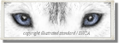 Standard Image Example Illustrated Standard
