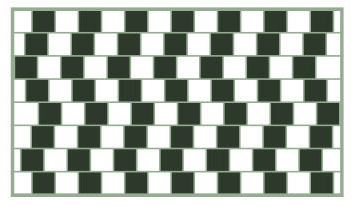 viztrick-horizontal.png