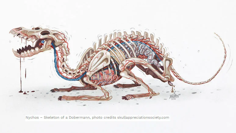 skelnyc.jpg