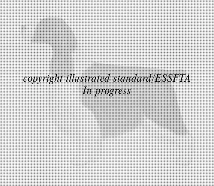 Drawings for the illustrated standard - English Springer Spaniel Field Trial Association
